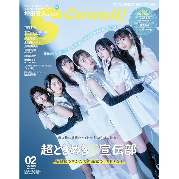 IDOL FILE Vol.34 | Rocks Entertainment |本 | 通販 | Amazon